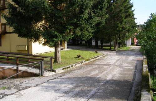 Chalet Orchidea - Foto 4