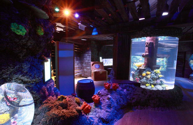 Entrada a SEA LIFE® Oporto - Foto 2