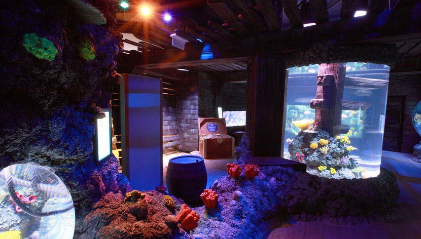 Ingresso do SEA LIFE® Porto - Foto 2