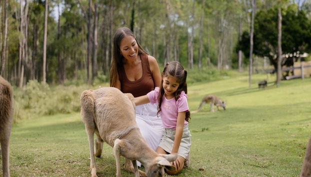 Movie World de Village Roadshow + Paradise Country - Foto 5