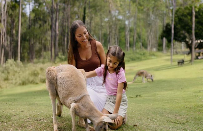 Ingresso giornaliero per il Paradise Country di Village Roadshow - Foto 1