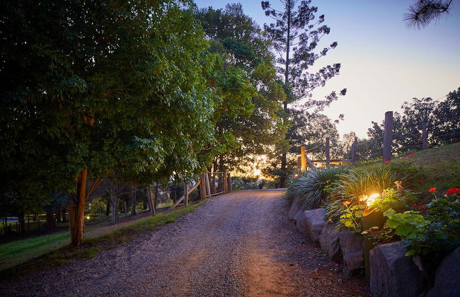 Dayboro Cottages - Photo 30