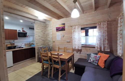 Domki Borowiackie nad brzegiem jeziora - Foto 62