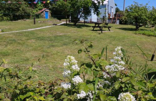 The Studio - Photo 21