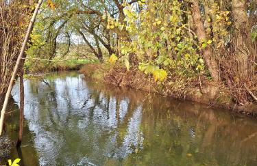 Eichsfeld FeWo-Sunny im Rhumetal - Foto 15