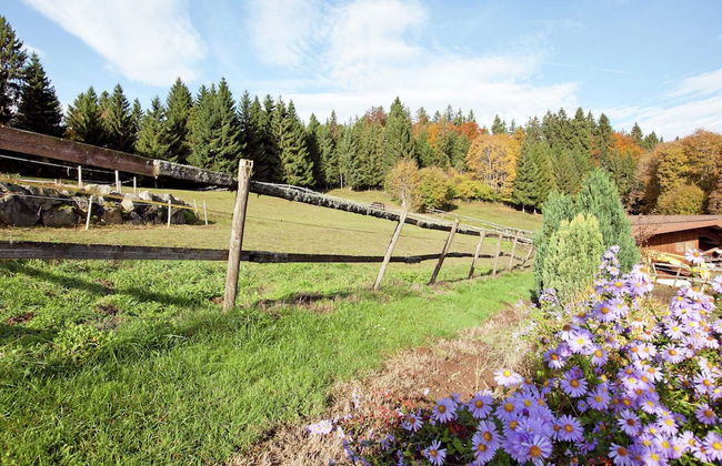 Apartment in Dachsberg-urberg - Foto 13
