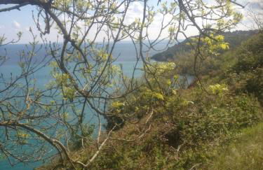 Charmant cocon breton proche plage, GR34, parking - Foto 35