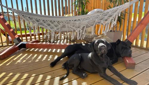 Domki Krasne Morze - Foto 4