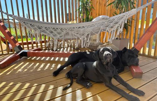 Domki Krasne Morze - Foto 4