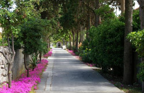 Rosa Apartments - Foto 25