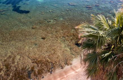 Studio Anatólio - Foto 12