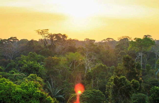 Loero Amazonian Community Multi-Day Visit - Photo 7