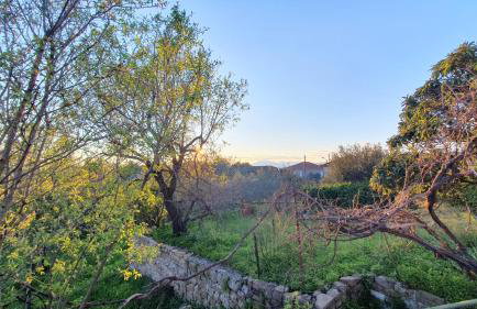 Best House, Green Home, Elaiofyto Village, Agrinio, Aitoloakarnania - Foto 34