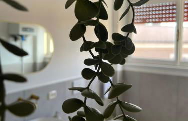 'Il Duomo' nel centro di Frascati - Foto 20