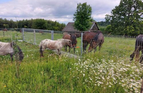 Domki na Łące - Foto 34
