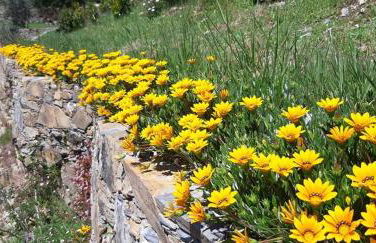 Casas do Couratão - Foto 12