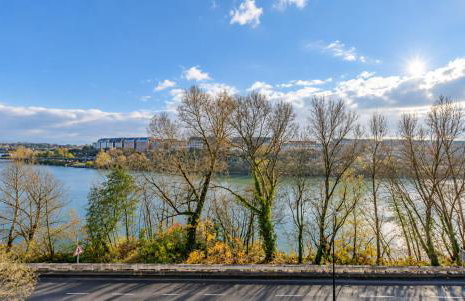 Terrasse & vue Rhône, Cité Internationale - Foto 9