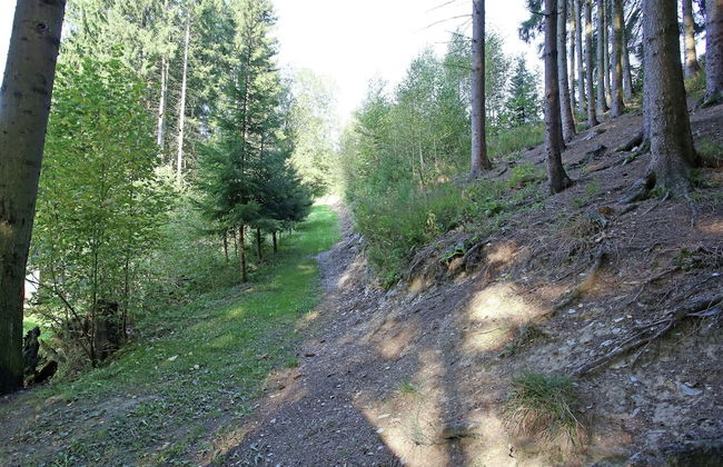 Magnific Holiday Home in Untervalme near Ski Area - Foto 17