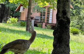 Cabana na Mata Paraíso da Serra - Foto 16