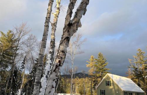 Wolf Pond House 3 Miles to Lake Placid - Foto 48