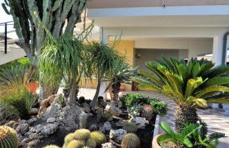 Villa Felice Marzamemi - Foto 13