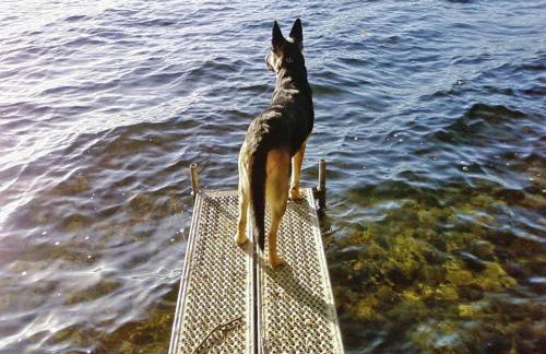 Ferienhaus am Dummer See, Perlin - Foto 26