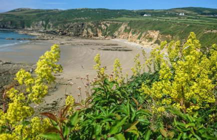 Bwthyn Y Bae - Photo 34