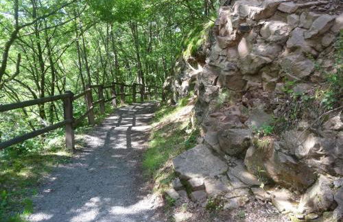 Holiday Home Stausee by Interhome - Foto 26