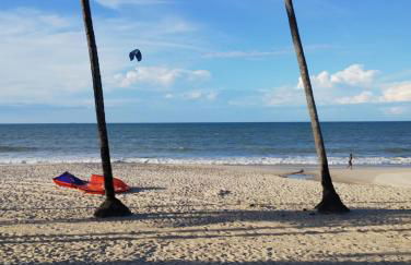 Eco paradise 134 - Photo 12