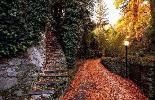 Villa Allgayer - Ancient dependance - Foto 35