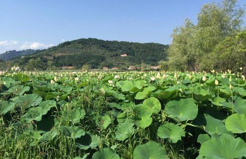 Cecco di Nara - Foto 26