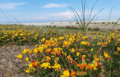 Friesenrose Süd - Foto 19