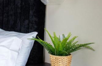 Plymouth Barbican boutique luxury Apartment - Foto 17