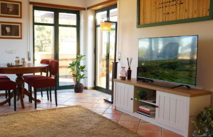 Forest Terrace Praia de Mira - Foto 6