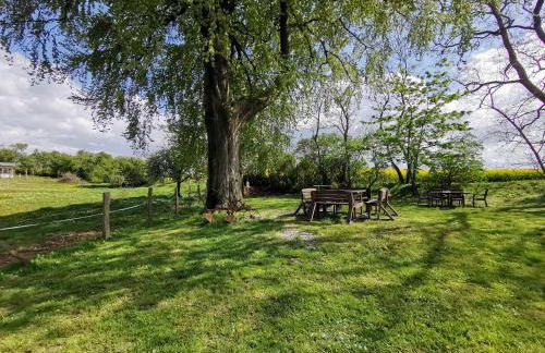 Gutshaus Thorstorf FeWo Travemünde - Foto 9