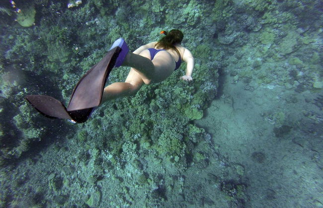 Pinzón Island Snorkelling Activity - Foto 2