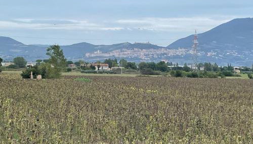 Casa Vacanza Patrizia - Foto 4