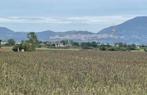 Casa Vacanza Patrizia - Foto 6