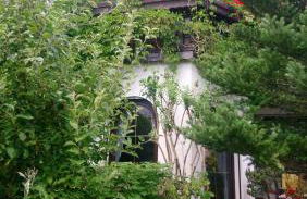 Apartment in Eibenstock 30354 - Foto 37