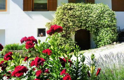 Fröhlichhof Wohnung Pink Lady - Foto 24