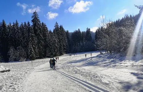 Vogelnescht19 - Foto 24