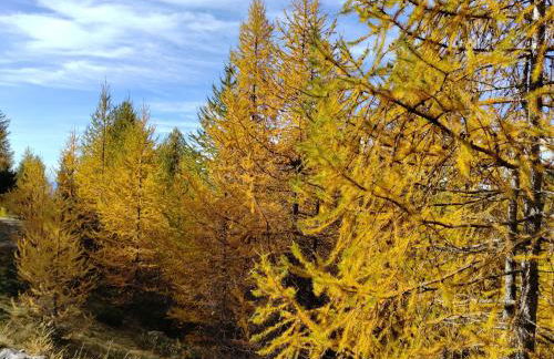 Gite l'Esquirol - Foto 25