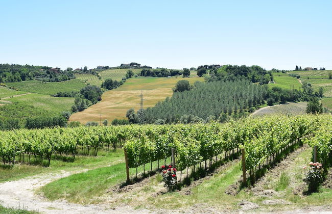 Capanna 1826 - Photo 25