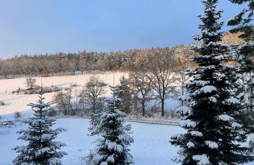 Erholung im Wald - mit Schwimmbad - Foto 27