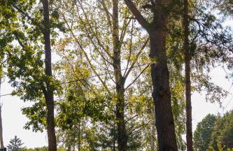 Arche Siedlisko Augustynka 59 - Foto 31