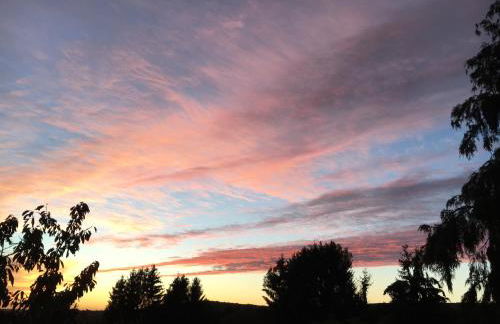 Haagalm Terrasse, Garten - Foto 38