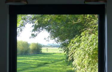 Conkers - a new bespoke rural escape near Glastonbury - Foto 35