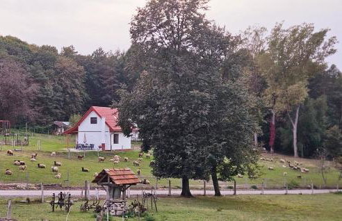 Agroturystyka Stara Huta - Domek Boho - Foto 26