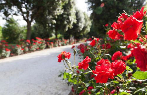 Masseria Lacatena - Foto 18