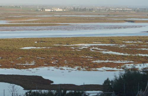 Finca Mis Morenas - Foto 21